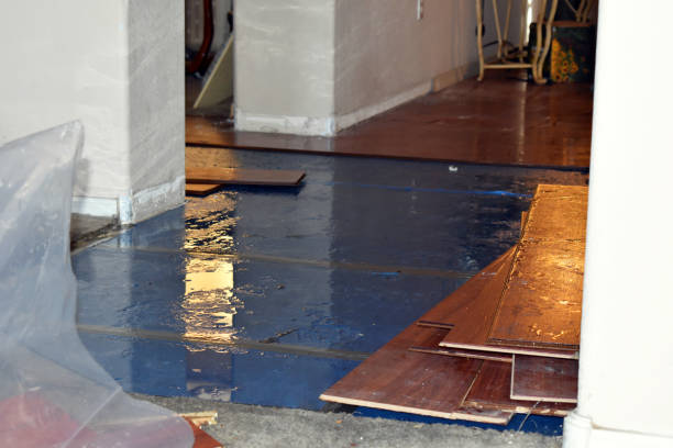 Professional Water Extraction technician working in Winnie, TX
